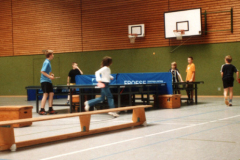 FePa_Bild3_rundlauf