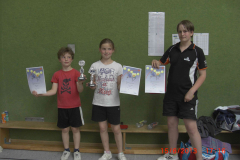 VM-2013_33